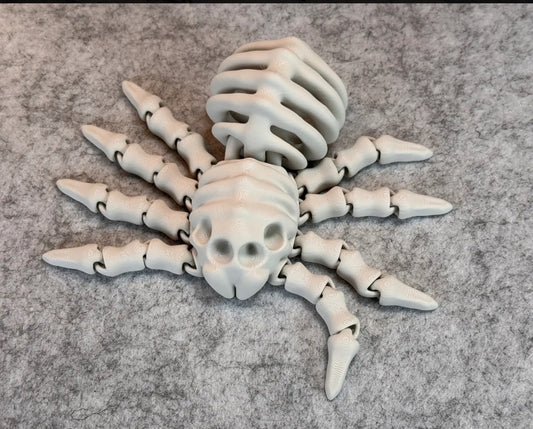 Articulated spider skeleton