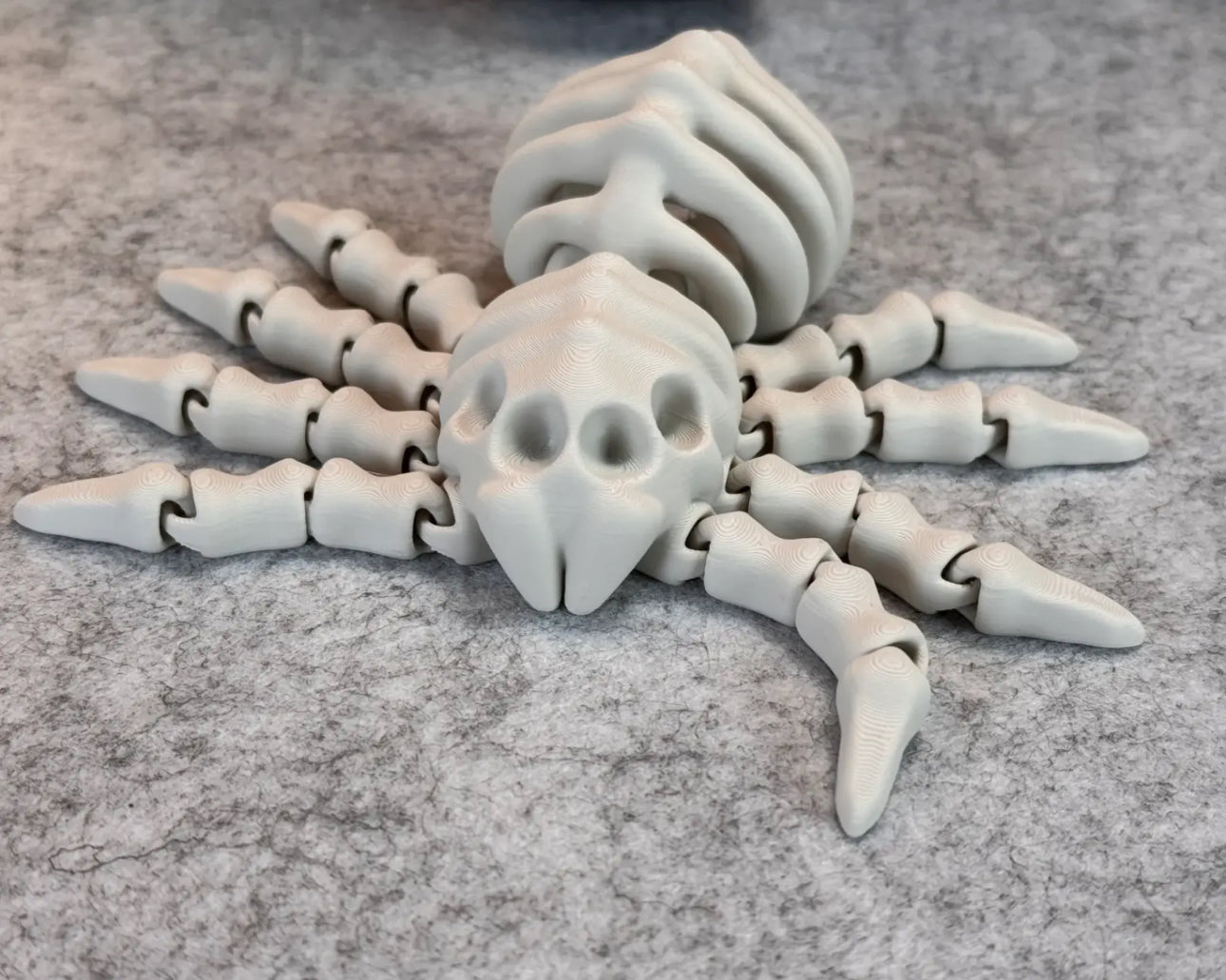 Articulated spider skeleton