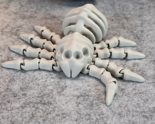 Articulated spider skeleton