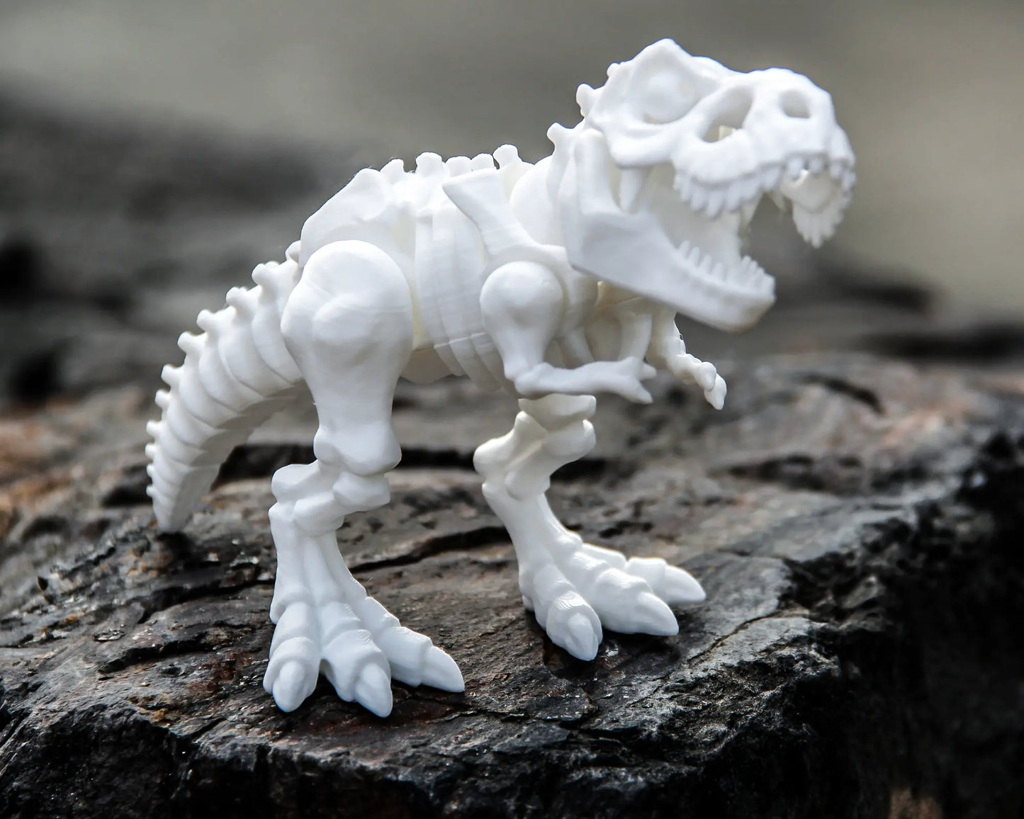 Skeleton t-Rex