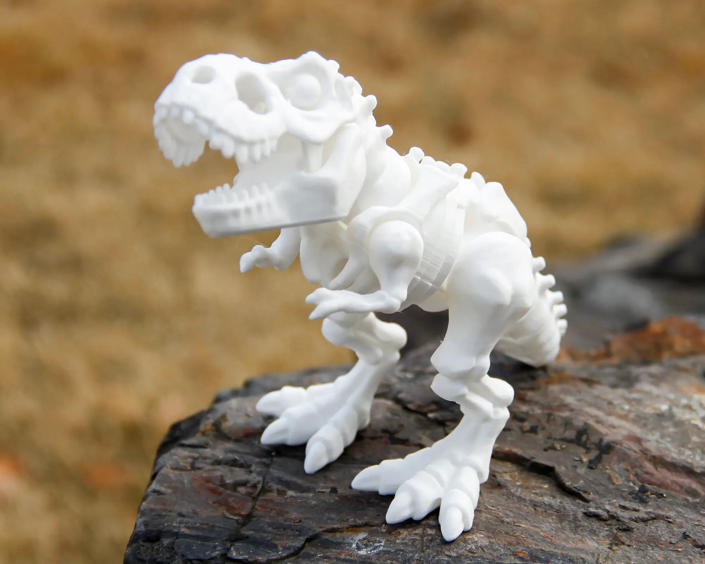 Skeleton t-Rex