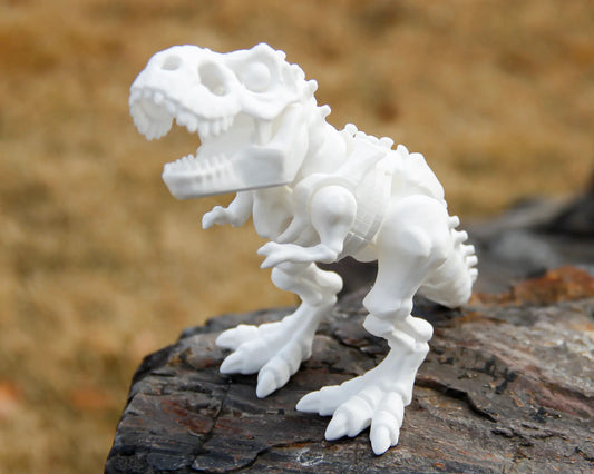 Skeleton t-Rex