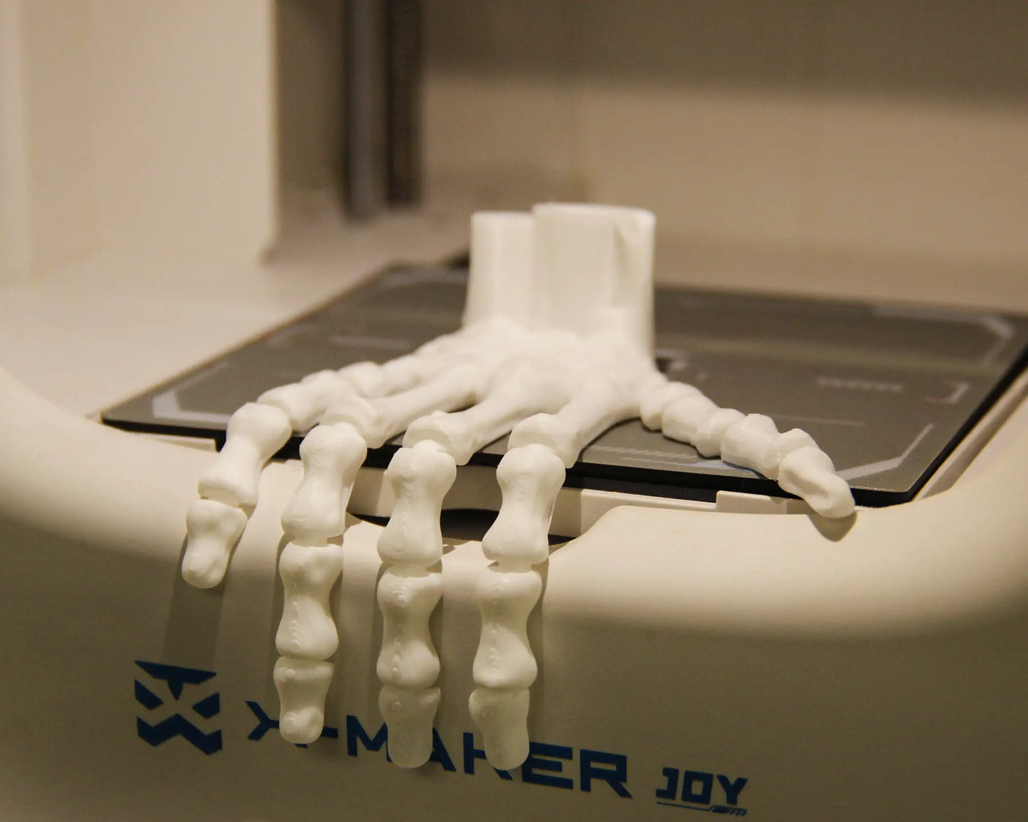 Posable skeleton hand